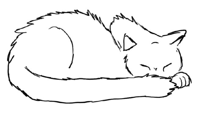 Sleeping cat illustration